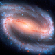 Cosmic dust spent eons coalescing into galaxies in a complex process that had the unlikely outcome of Mitch.